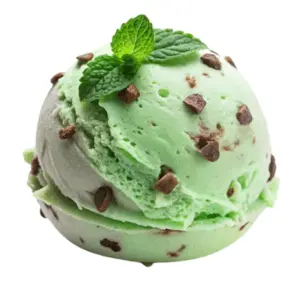 Mint-Chocolate-Chip