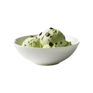 Mint-Chocolate-Chip-Sundae