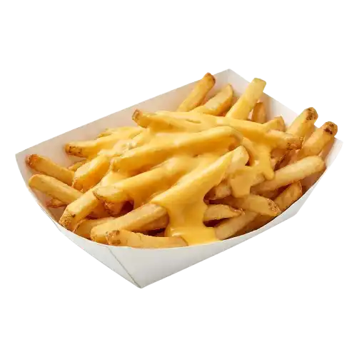 Cook Out Cheese Fries